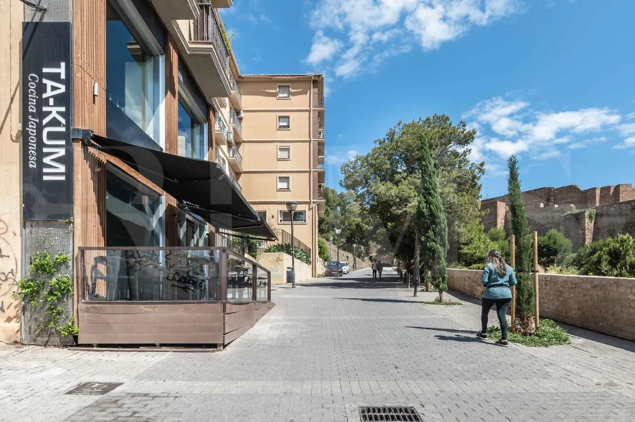 Spacious Apartment Next To Plaza De La Merced By Rems Malaga